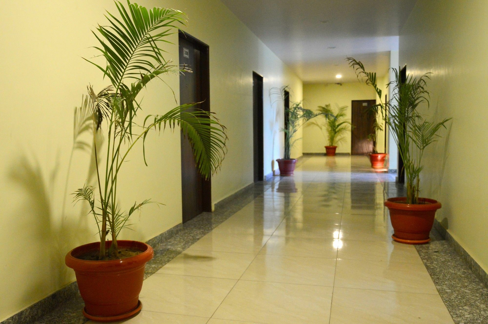 Oyo 6697 Hotel Green Lemon Τζαϊπούρ Εξωτερικό φωτογραφία